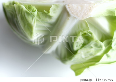 キャベツ_半分カット_3:2 116759795