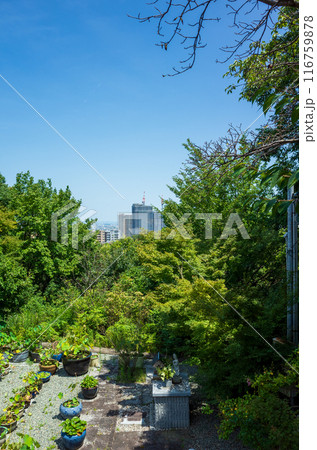 宝塚 遠景 宝塚 遠景 116759878