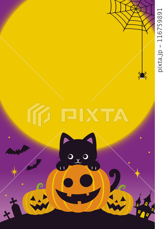 ハロウィンのかわいい黒猫とかぼちゃの背景イラスト 116759891