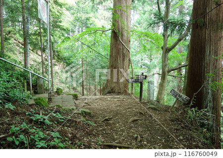 高水山常福院龍学寺への石段と道標(東京都青梅市) 高水山常福院龍学寺への石段と道標(東京都青梅市) 116760049