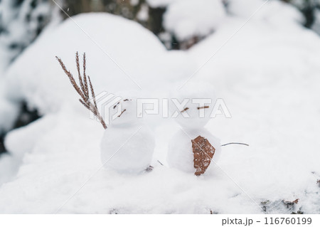 Happy snowman in winter christmas landscape forest. Merry christmas and happy new year greeting card and Snow background 116760199