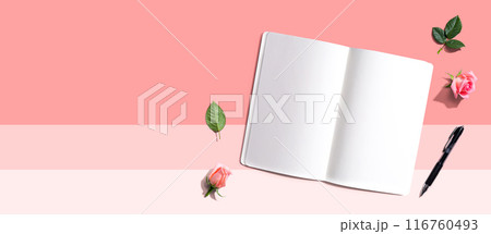 Blank open notebook with a pen from above Blank open notebook with a pen from above 116760493