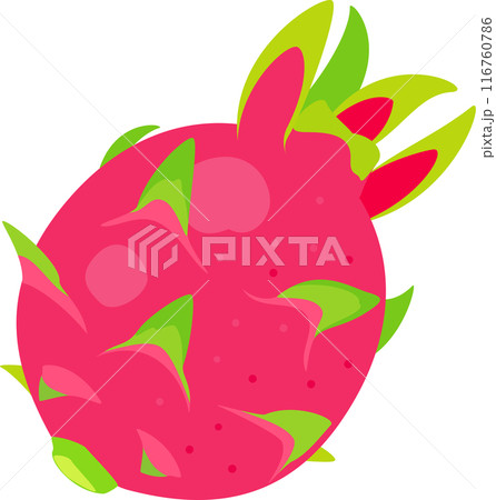 一つのドラゴンフルーツ 一つのドラゴンフルーツ 116760786