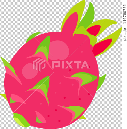 一つのドラゴンフルーツ 一つのドラゴンフルーツ 116760786