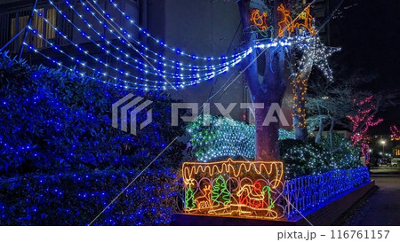 イルミネーション 116761157