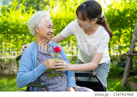 Asian elderly woman holding red rose flower, smile and happy in the sunny garden. Asian elderly woman holding red rose flower, smile and happy in the sunny garden. 116762468