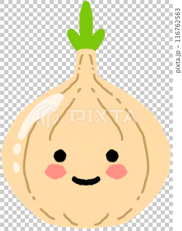 onion 116762563