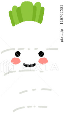 vegetable radish vegetable radish 116762583