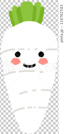 vegetable radish vegetable radish 116762583