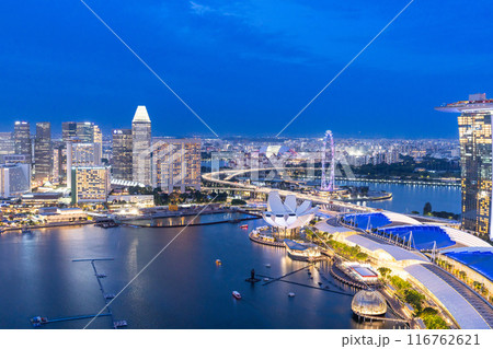 シンガポールフライヤーが浮かぶマリーナベイの夜景 116762621