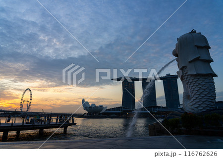 日が上るシンガポールの朝とマーライオン 116762626