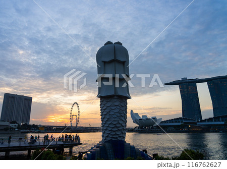 日が上るシンガポールの朝とマーライオン 116762627