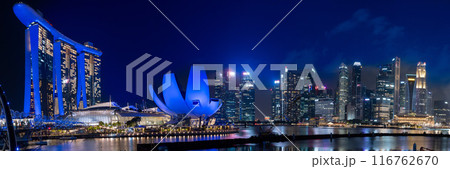 近代都市風景　シンガポールのパノラマ夜景 116762670
