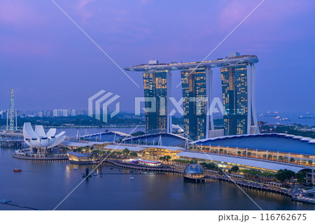 シンガポール絶景　上空から見たマリーナベイの夜景 116762675