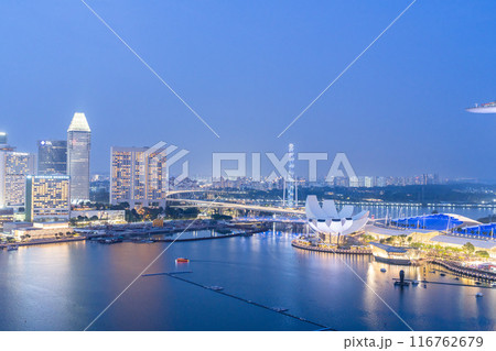 シンガポールフライヤーが輝くシンガポール夜景 116762679
