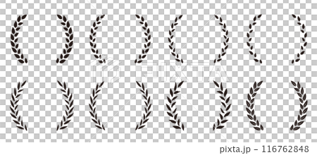 Laurel wreath frame Black laurel frame 116762848