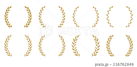 月桂冠のフレーム ゴールドの月桂樹フレーム 月桂冠のフレーム ゴールドの月桂樹フレーム 116762849