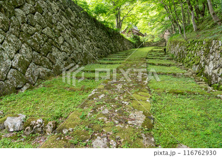 滋賀県東近江市　新緑が美しい百済寺表門と苔むした石段 116762930
