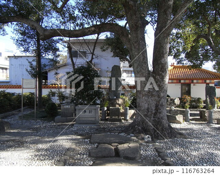 徐福公園 徐福公園 116763264