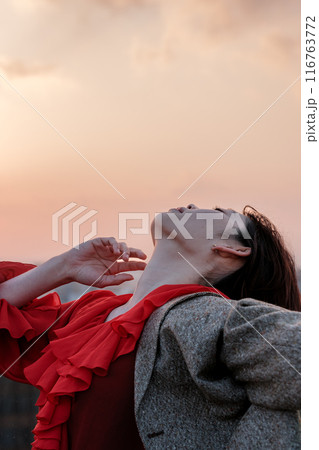 夕焼けを眺める女性 夕焼けを眺める女性 116763772