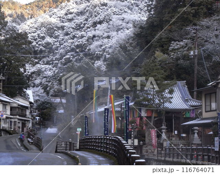 熊野古道 116764071