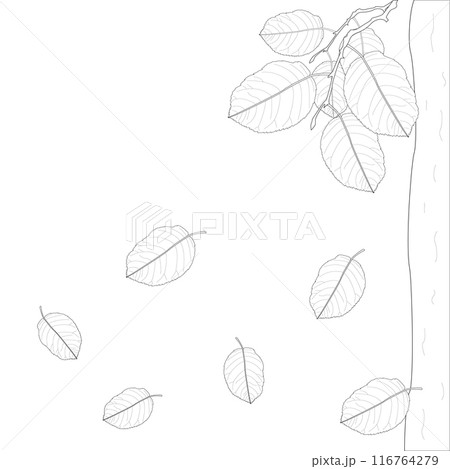 Childrens coloring books, Bright vector drawing of falling autumn leaves, fall Childrens coloring books, Bright vector drawing of falling autumn leaves, fall 116764279