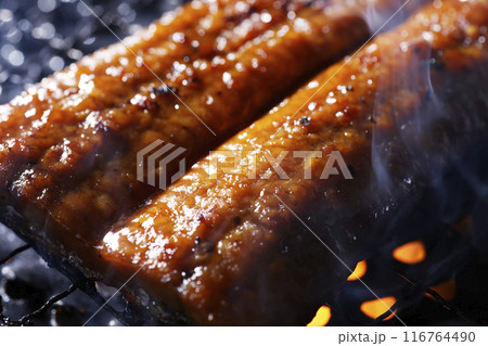 鰻の蒲焼き 116764490