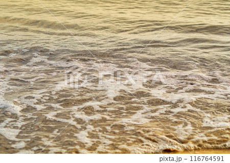 Foamy surface of sea water near sandy coast, at sight of sound of sea surf and the sound of seagulls immediately arises in head. Screensaver, photo wallpapers for relaxing psychological practices 116764591