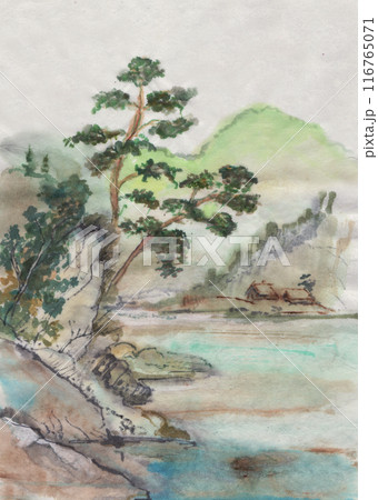 tall pine tree on the lake shore tall pine tree on the lake shore 116765071