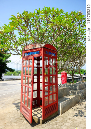 Old retro British red telephone booth. Vintage callbox under Plumeria plant, Frangipani plat or Temple Tree Old retro British red telephone booth. Vintage callbox under Plumeria plant, Frangipani plat or Temple Tree 116765210