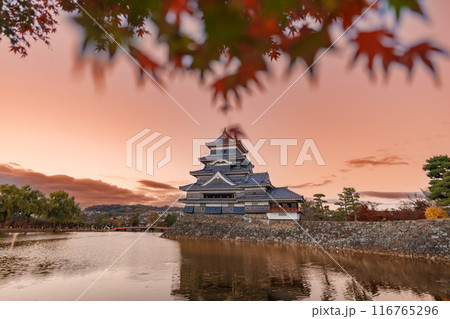 Matsumoto Castle or Crow Castle in Autumn, is one of Japanese premier historic castles in easthern Honshu. Landmark and popular for tourists attraction in Matsumoto city, Nagano Prefecture, Japan 116765296