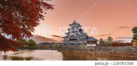 Matsumoto Castle or Crow Castle in Autumn, is one of Japanese premier historic castles in easthern Honshu. Landmark and popular for tourists attraction in Matsumoto city, Nagano Prefecture, Japan 116765300