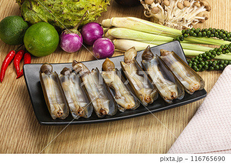 Raw fresh Razor clam mollusk Raw fresh Razor clam mollusk 116765690