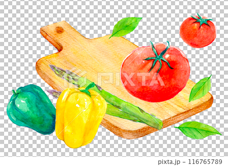 新鮮な野菜とまな板　クッキング　水彩イラスト 116765789