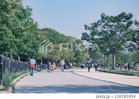 福岡天神駅周辺の景観 福岡天神駅周辺の景観 116765954