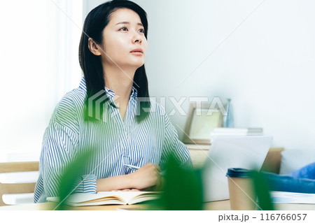 リビングでパソコン作業をする若い女性 116766057