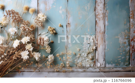 古びた水色の板張りの壁に置かれた白いドライフラワーのおしゃれな画像 116766096