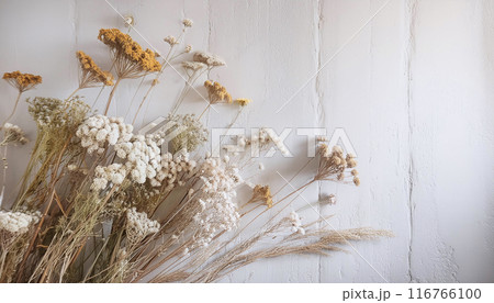 古びた白い板張りの床に飾られた白い鋸草のドライフラワーの画像 古びた白い板張りの床に飾られた白い鋸草のドライフラワーの画像 116766100