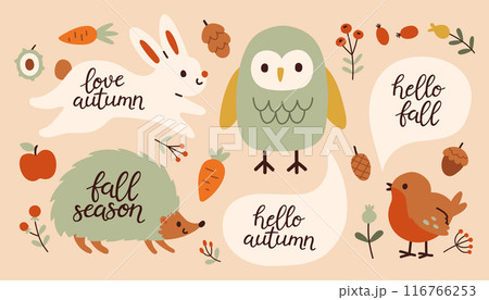 Autumn animals hand drawn lettering set. Fall...のイラスト素材 [116766253] - PIXTA