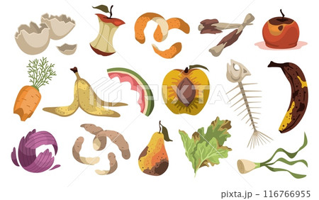 Organic products waste. Recycling natural trash, rotting vegetables and fruits, raw materials for compost, peeling, spoiled food, fish skeleton, cartoon flat isolated tidy vector set 116766955