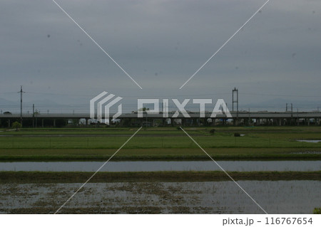 田んぼの水面に映る 116767654