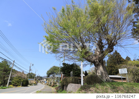 横堀宿の一里塚 116768247