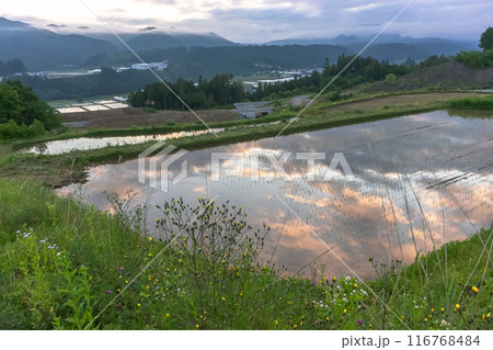 240605上野平z019 116768484