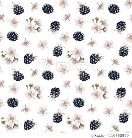 Blackberry, berries with flowers. Watercolor illustration, floral seamless pattern on white background with summer fruit bramble for table textile, summer fabrics, wrapping paper and food packages Blackberry, berries with flowers. Watercolor illustration, floral seamless pattern on white background with summer fruit bramble for table textile, summer fabrics, wrapping paper and food packages 116768999