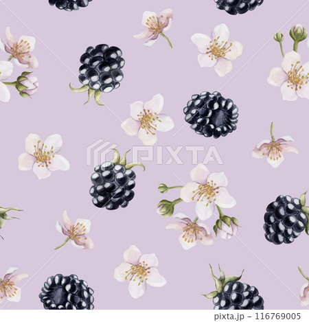 Blackberry, berries with flowers. Watercolor illustration, floral seamless pattern on lilac background with summer fruit bramble for table textile, summer fabrics, wrapping paper and food packages 116769005
