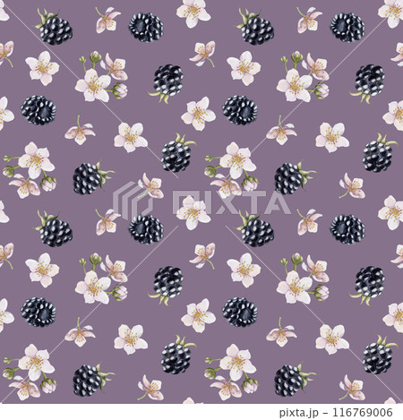 Blackberry, berries with flowers. Watercolor illustration, floral seamless pattern on purple background with summer fruit bramble for table textile, summer fabrics, wrapping paper and food packages 116769006