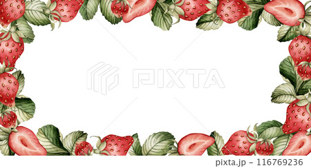 Strawberry, berries with green leaves, watercolor isolated illustration. Seamless border, horizontal frame for table textile, porcelain tableware, kitchen utensil, card, label and food package Strawberry, berries with green leaves, watercolor isolated illustration. Seamless border, horizontal frame for table textile, porcelain tableware, kitchen utensil, card, label and food package 116769236