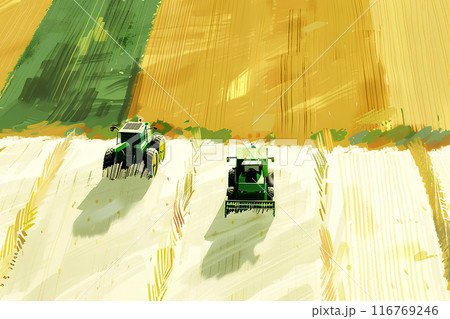 黄金色の麦を収穫する風景 116769246