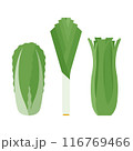 Green vegetables - leek, celery, Chinese cabbage. Fresh green ingredients for cooking, food preparing. Simple and quit illustration. Flat vector, isolated on white 116769466