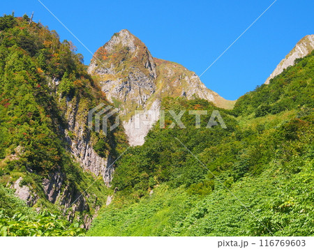 荒菅沢から望む秋の雨飾山・布団菱 116769603